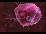 Nanoshells In Cancer Treatment Photos