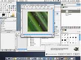 Photos of Freeware Photo Editing Software