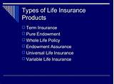 Endowment Life Insurance Policy