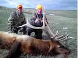 Cheap Elk Hunting Outfitters