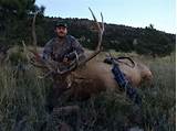 Pictures of New Mexico Elk Hunting Outfitters