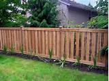 Cheap Privacy Fencing Options Images