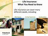 American Family Term Life Insurance Reviews Pictures