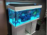 Juwel 240 Fish Tank Images