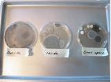 Pictures of Best Mold Test For Home