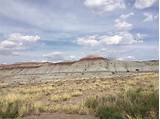 Petrified Forest National Park Address Pictures