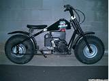 Pictures of Buffalo Mini Bike