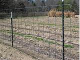 How To Build A Hog Wire Fence