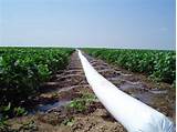 Photos of Poly Pipe Irrigation Installation