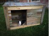 Cheap Dog Crates Near Me Pictures