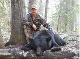 Alberta Moose Outfitters Pictures
