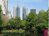 Central Park Hotels In New York Pictures