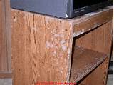 Green Mold On Furniture Pictures