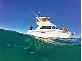 Pictures of Cabo Deep Sea Fishing