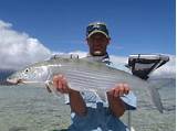 Images of Fishing For Bonefish