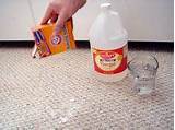 Images of Best Carpet Cleaning Company For Dog Urine