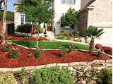 Waterless Yard Design