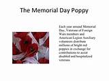 Poppy Flower Veterans Day Photos