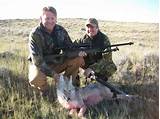 Pictures of Coyote Hunting Outfitters