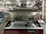 Portable Stainless Steel Gas Grill Costco Pictures
