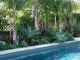 No Maintenance Pool Landscaping Images