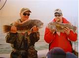 Williamsburg Va Fishing Charters Photos
