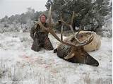 Images of Cheap Elk Hunting Outfitters
