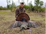 Pictures of Turkey Hunting Outfitters In Florida
