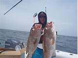 Venice Louisiana Offshore Fishing