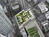 Photos of Landscape Architects Chicago Residential