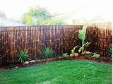 Pictures of Bamboo Backyard Fencing