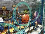 Moa Theme Park Images