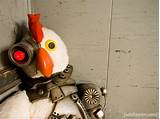 Robot Chicken Videos Photos
