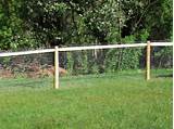 Cheap Electric Dog Fence Photos