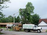 Photos of West Michigan Tree Services Reviews