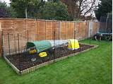 Photos of Omlet Chicken Fencing For Sale