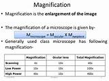 Highest Resolution Microscope Images