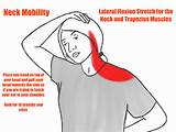 Muscle Exercises For Neck