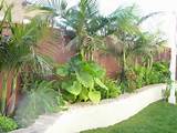 Photos of Tropical Landscaping