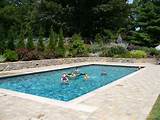 Pool Landscaping Privacy