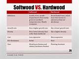 Pictures of Hardwood Vs Softwood