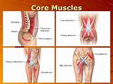 Food For Core Muscles