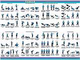 List Of Weight Lifting Exercises Images