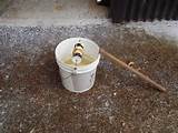 Mouse Trap Bucket