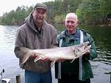 Images of Maine Salmon Fishing Season