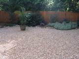 Pictures of Gravel Yard Landscaping