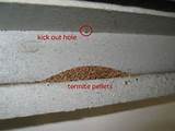 Images of Sheetrock Termite Damage