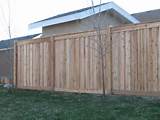 Photos of Cedar Wood Fence Panels