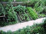 Vegetable Garden Design Photos