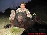 Pictures of Canadian Bear Hunting Outfitters